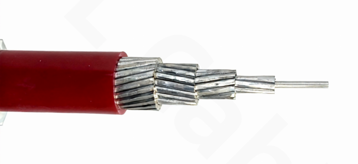 BLV (Aluminum Core PVC Insulated Building Wire) Rated Voltage: 450/750V